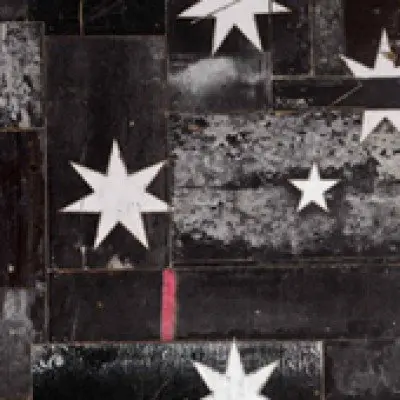 LUKE SULLIVAN: Petrified Flag